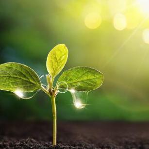 Blemics GrowDiaries '5