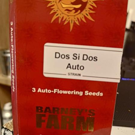 Do Si Dos