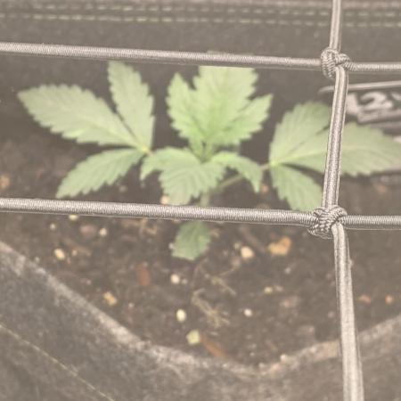 The Splendor of Winter