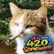 The Splendor of Winter