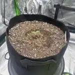4x4 Grow Lets Go