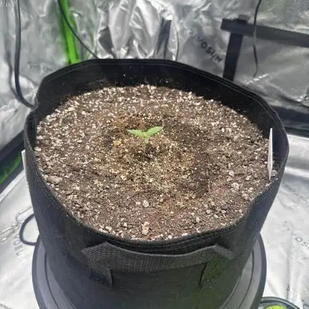 4x4 Grow Lets Go