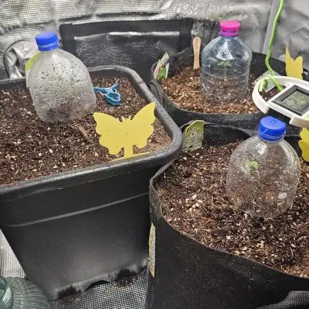 Multi grow indoor