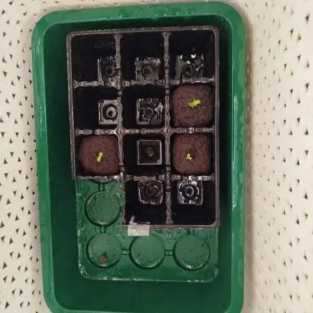 BF's: Super boof & Blue gelato 41