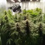 Balcony somewhere in Europe 2025