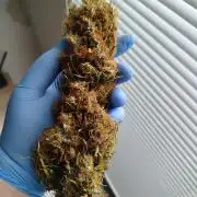 Balcony somewhere in Europe 2025