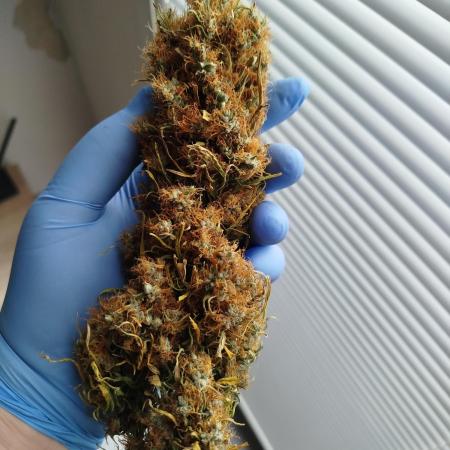 Balcony somewhere in Europe 2025