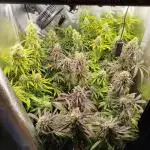 Balcony somewhere in Europe 2025