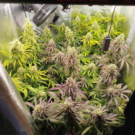 Balcony somewhere in Europe 2025