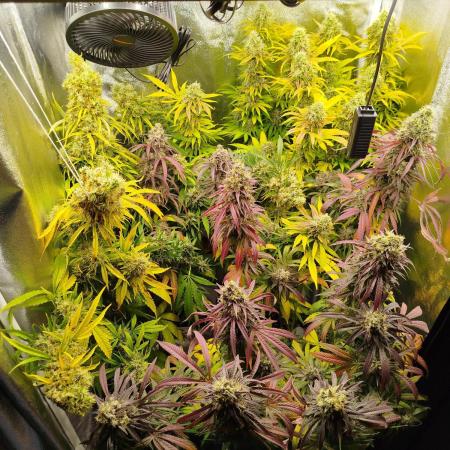 Balcony somewhere in Europe 2025