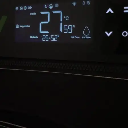 24k Auto