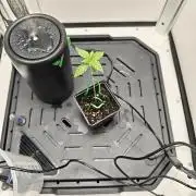 Vgrow | Mac