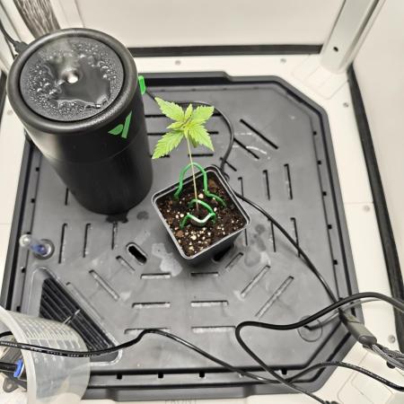 Vgrow | Mac