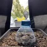 24k Auto