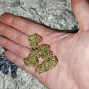 Vgrow|Grape Gas