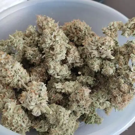 Watermelon Rqs photo