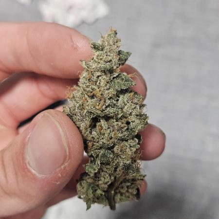 A Mindful Grow: Mental Rainbow