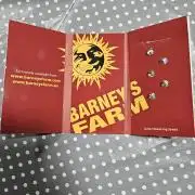 First Time in Coco... Send Help