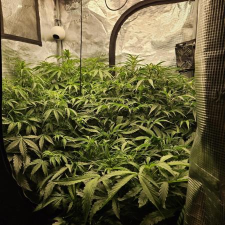 First Time in Coco... Send Help