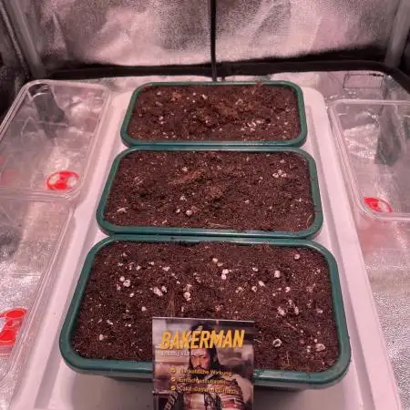 Bakerman - Living Soil -