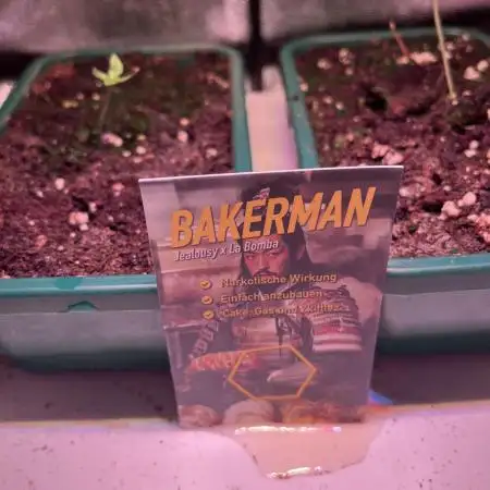 Bakerman - Living Soil -