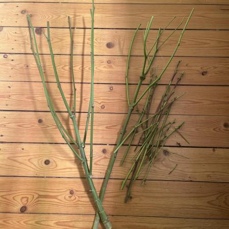 Bakerman - Living Soil -