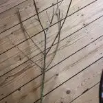 Bakerman - Living Soil -