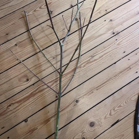 Bakerman - Living Soil -