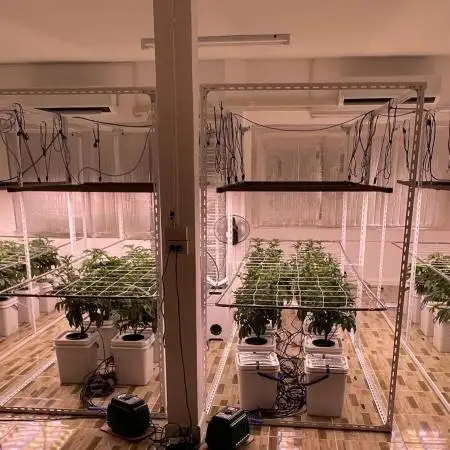 Round 1 (clones)