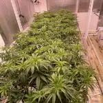 Round 1 (clones)