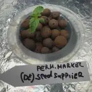 Permanent marker DWC