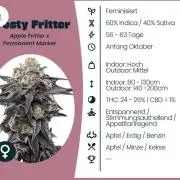 Frosty fritter DWC by seed supplier