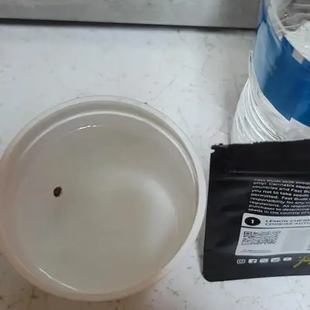 Lemon Cherry Cookies