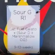 Sour G R1-Ethos