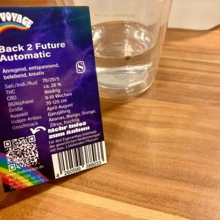 Bud Voyage - Back 2 Future - RDWC