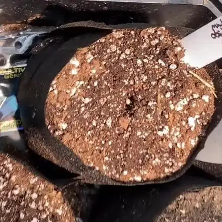 Obsidian Drift Auto