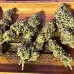 Lemon OG Haze Nirvana
