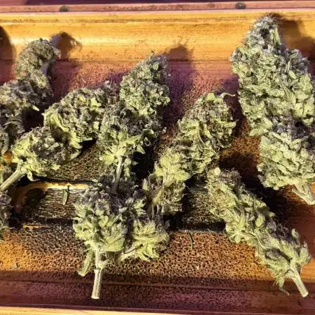 Lemon OG Haze Nirvana