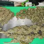 First Time for Everything