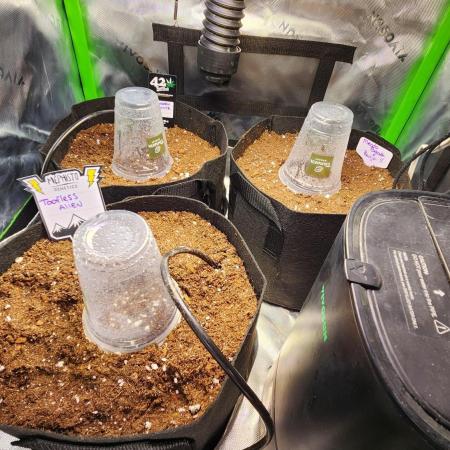 Can't Stop Won't Stop