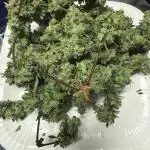 May the Kush and cookies be with you!