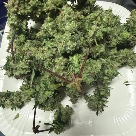 May the Kush and cookies be with you!