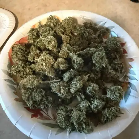 Trop cherry outdoors