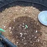 GG4 ( first photo indoor run )