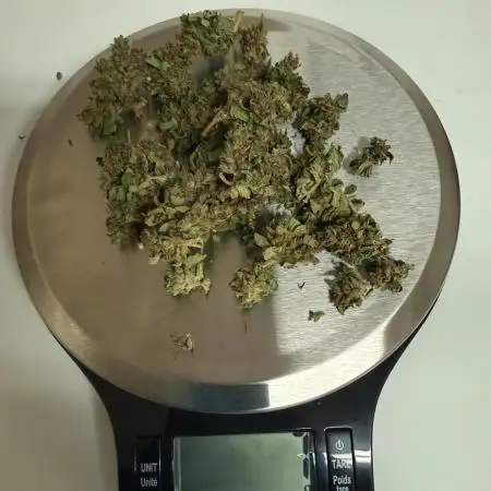 Northern light 3 gallon
