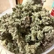 Critical mass by zamnesia