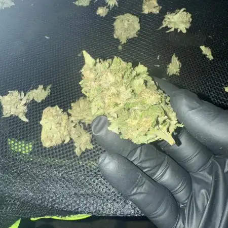 Trop cherry outdoors