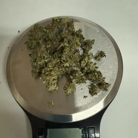 Northern light 3 gallon