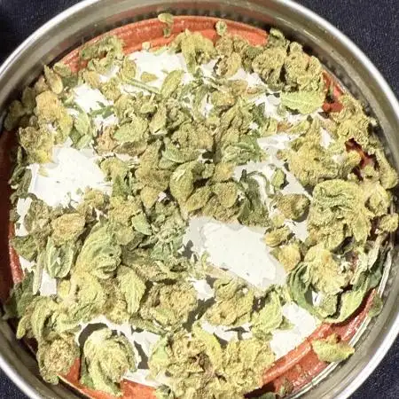 Tangie