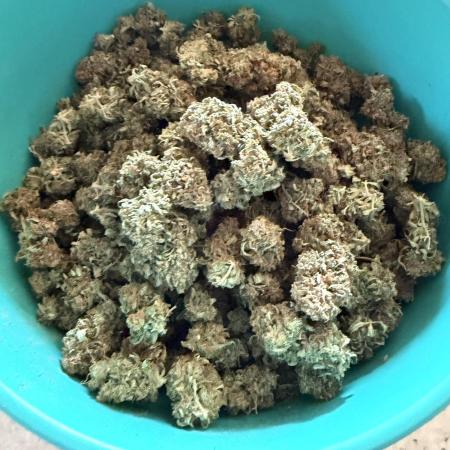 Why did the aurora get a bad review?